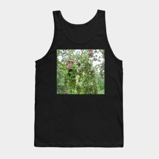 Apple orchard Tank Top